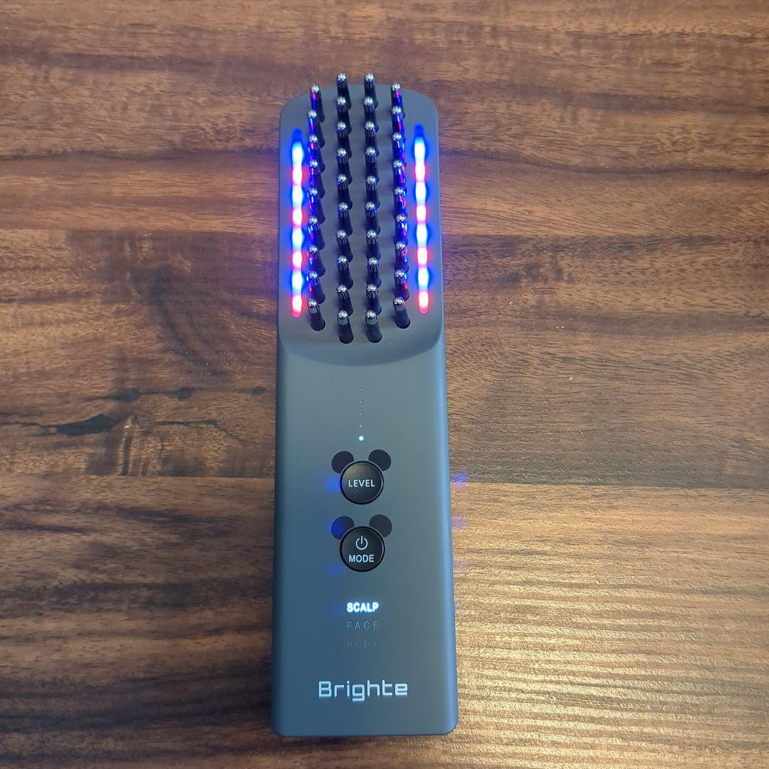 ブライト エレキブラシ プラス ミッキーマウス