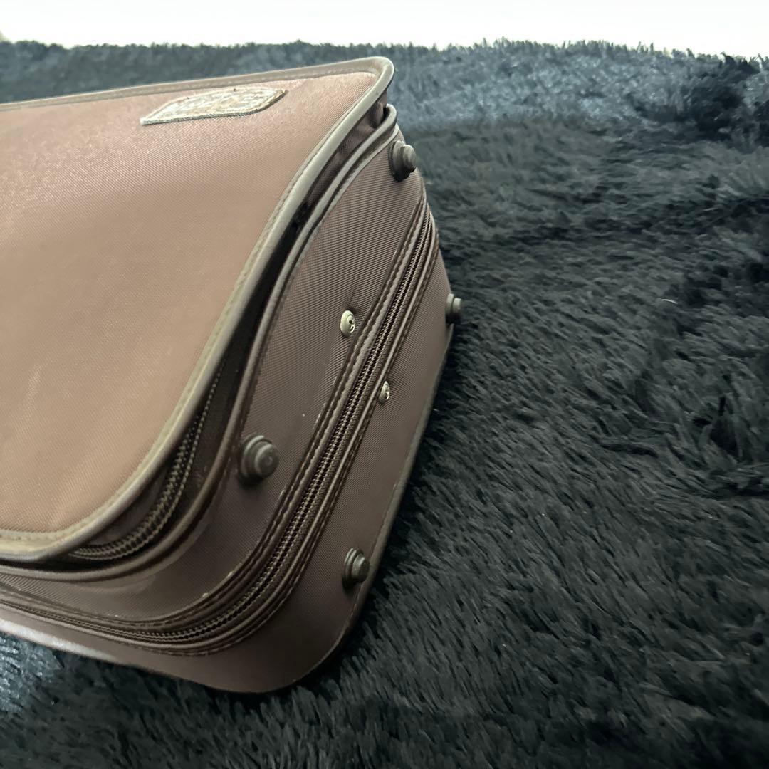 ESPRI バイオリンケース 4/4サイズ 弦楽器 東洋楽器