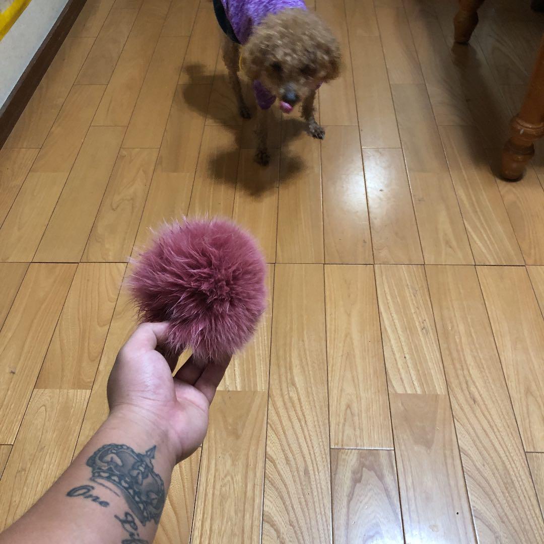 バズのおもちゃ