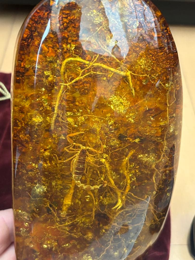 天然琥珀　虫入り約800g 特大　宝石鑑別書横10cm 縦19cm 厚さ約5cm