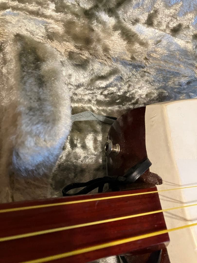 津軽三味線　撥 ハードケース