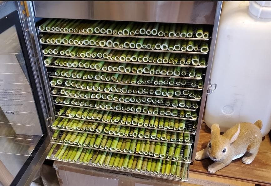 大容量1400g　(国産・高品質)乾燥パパイヤの茎（無農薬・有機肥料）