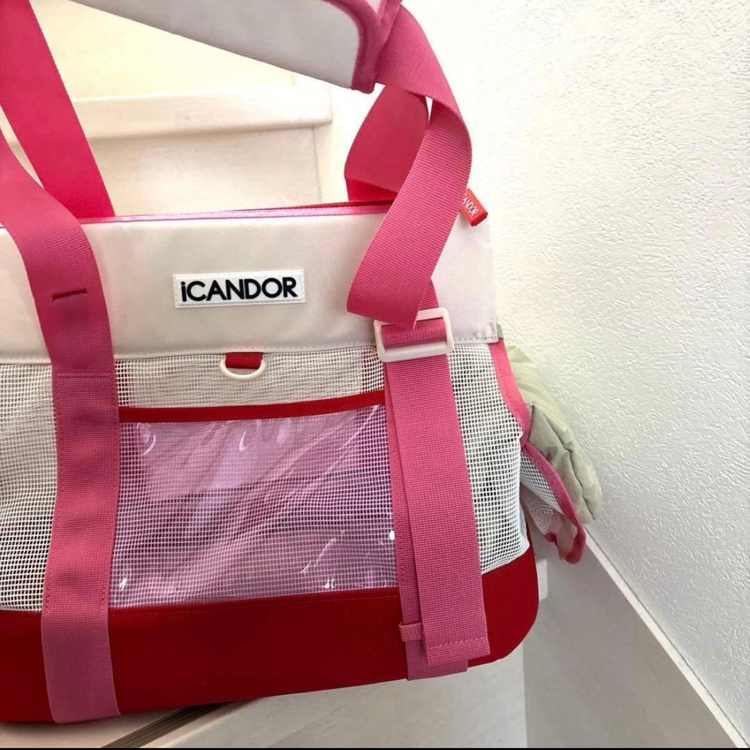 アイキャンダーキャリーバック