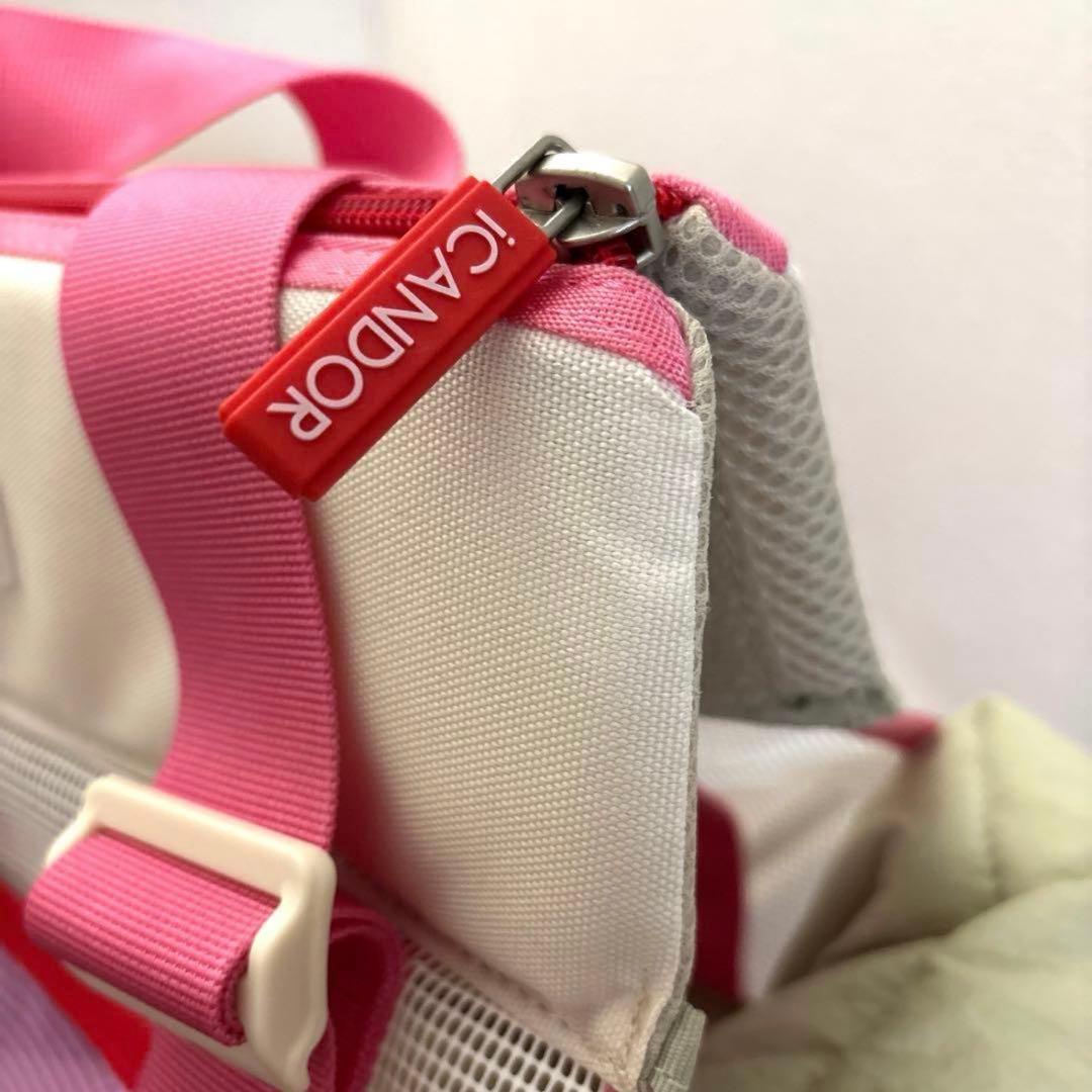 アイキャンダーキャリーバック