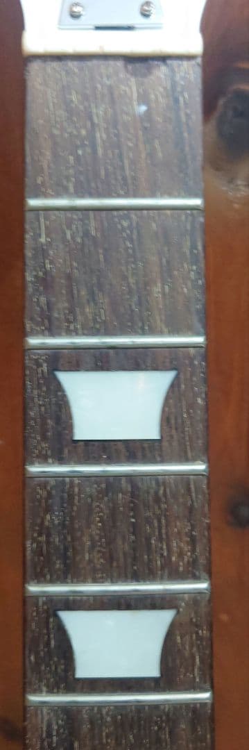 Epiphone　SG改　SG ジュニア