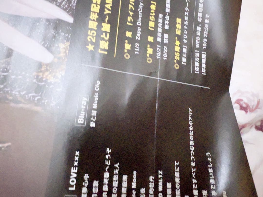 ALI PROJECT 宝野アリカ様　直筆サインポスター