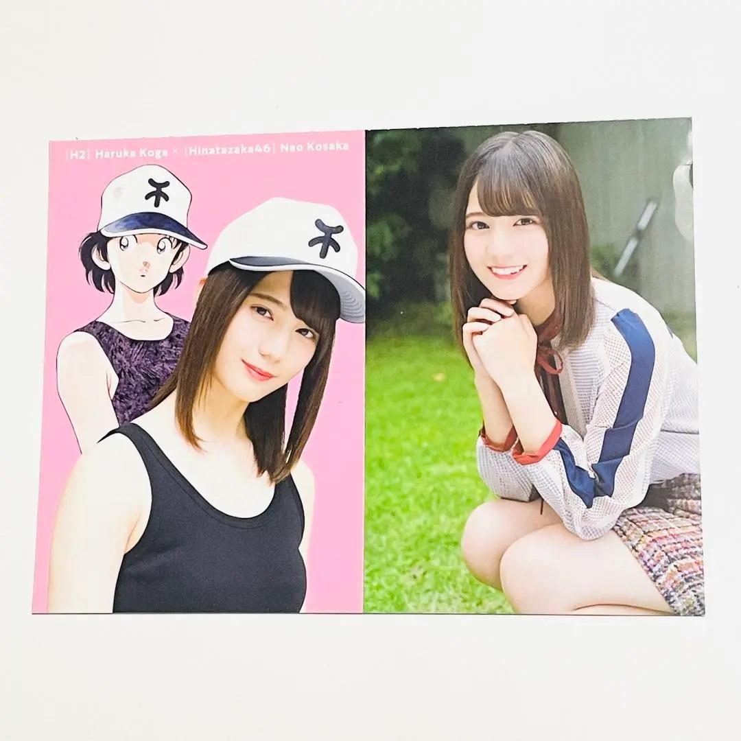 欅坂46 日向坂46 クリアファイル ポストカード