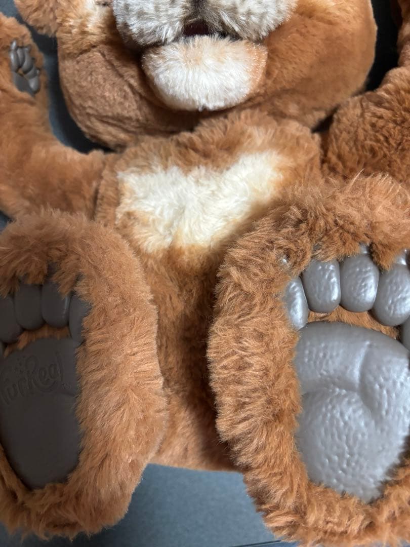 み*ー様 ファーリアル　遊ぶのだいすき♪ こぐまのカビー　クリスマス　プレゼント