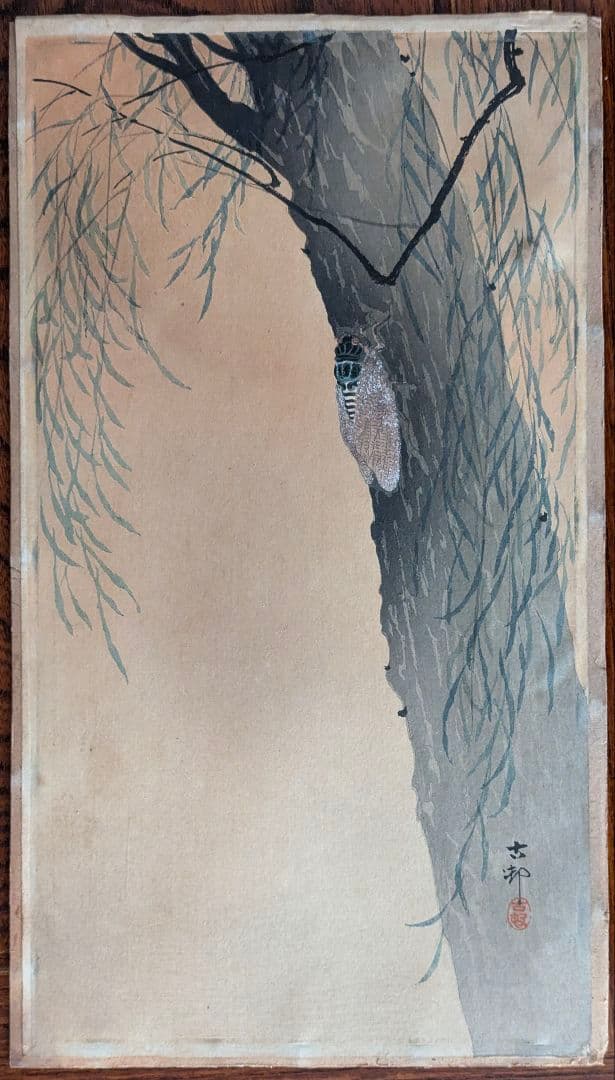 小原古邨「柳に油蟬」本物木版画