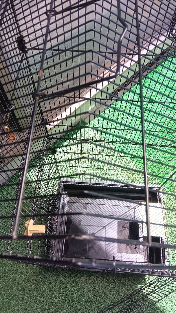 鳥かご（大きめ）