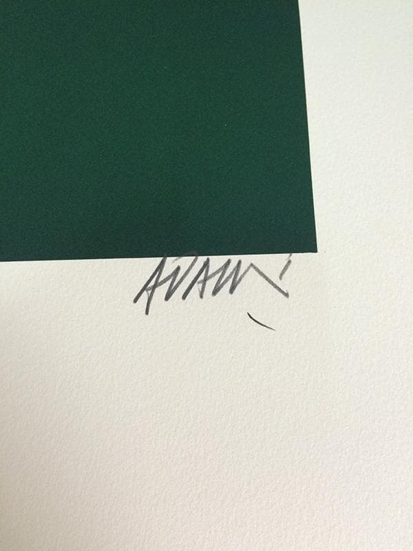 AFF AVT SALPETRIERE/ヴァレリオ・アダミ/ポスター