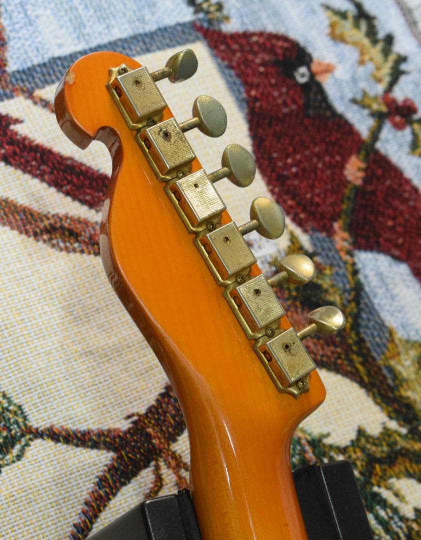 ギター Bill's Brothers EXCELLENT MAD CAT