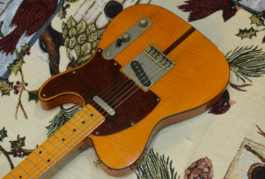 ギター Bill's Brothers EXCELLENT MAD CAT