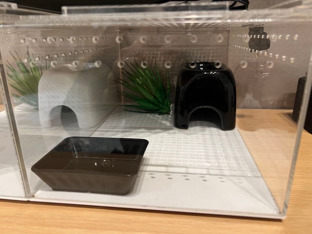 爬虫類飼育セット　2セット　ヒーター付き