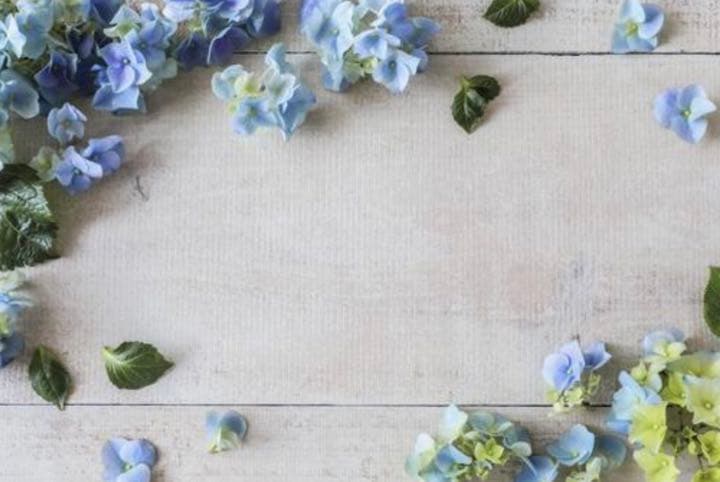 M1046.Daily Life手帳 野莓仙踪マスキングテープ PET 3m