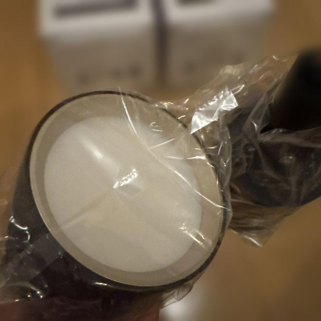 【2個】Grid PLUS-swingable duct down light