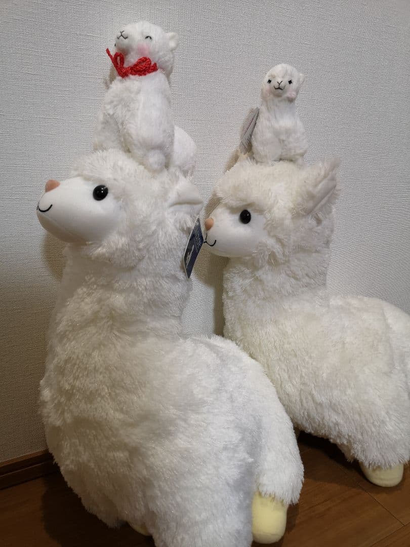 ★アルパカファミリー★