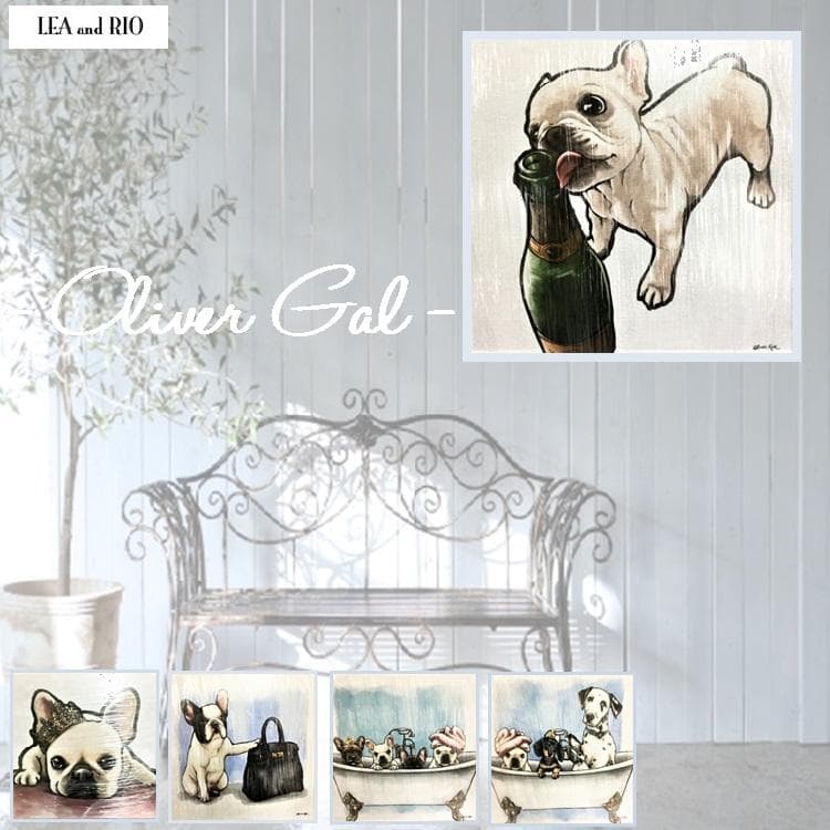 Oliver Gal -オリバーガル - OG66 67 69 70 73-4