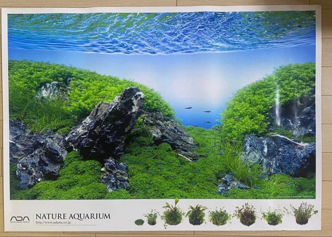 【入手困難】ADA 非売品ポスター2枚セット　龍王石/雲山石