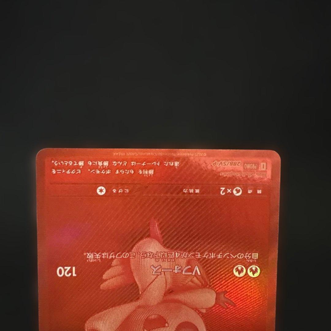 ピクティニ BWR　争奪戦プロモ 未開封と参加賞