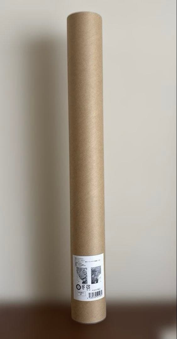 ヒロアカ 原画展 ポスター The Beginning