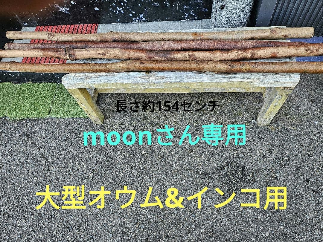 止まり木(大型オウム&インコ用)