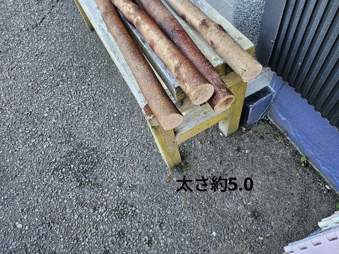 止まり木(大型オウム&インコ用)