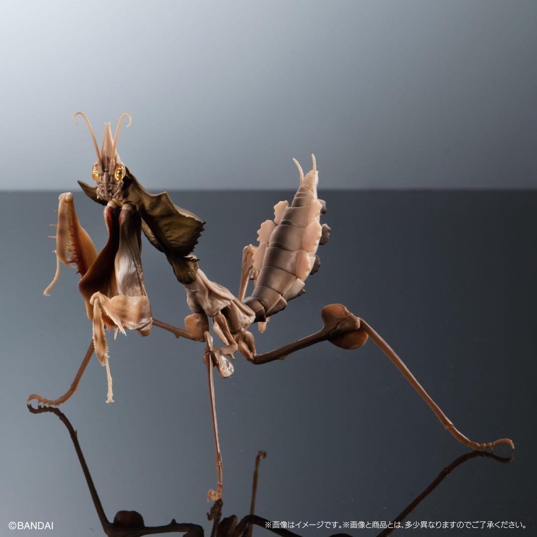 シ*ン様 いきもの大図鑑アドバンス　ニセハナマオウカマキリコンプリート