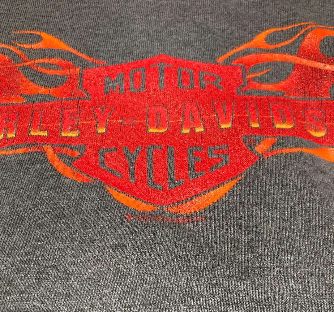 90s usa製 Harley-Davidson フレイムプリント パーカー L