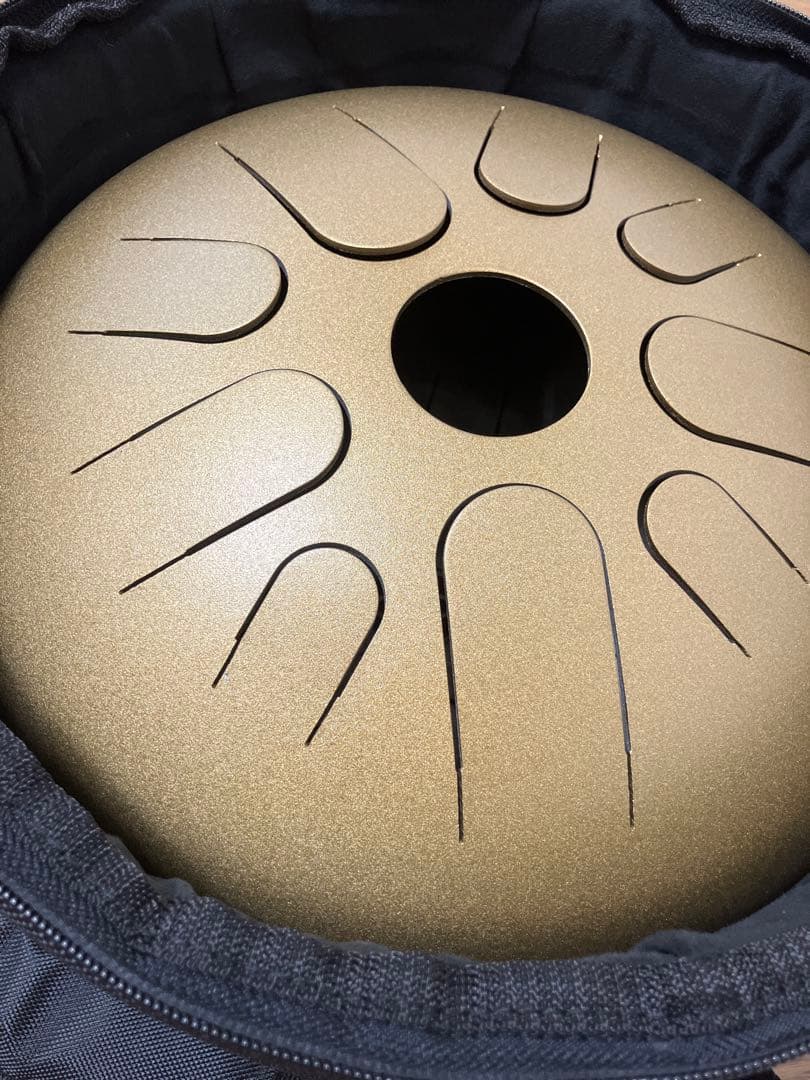 大幅値下げ【美品】レア ガンクドラム ソルフェジオ432hz シードオブライフ