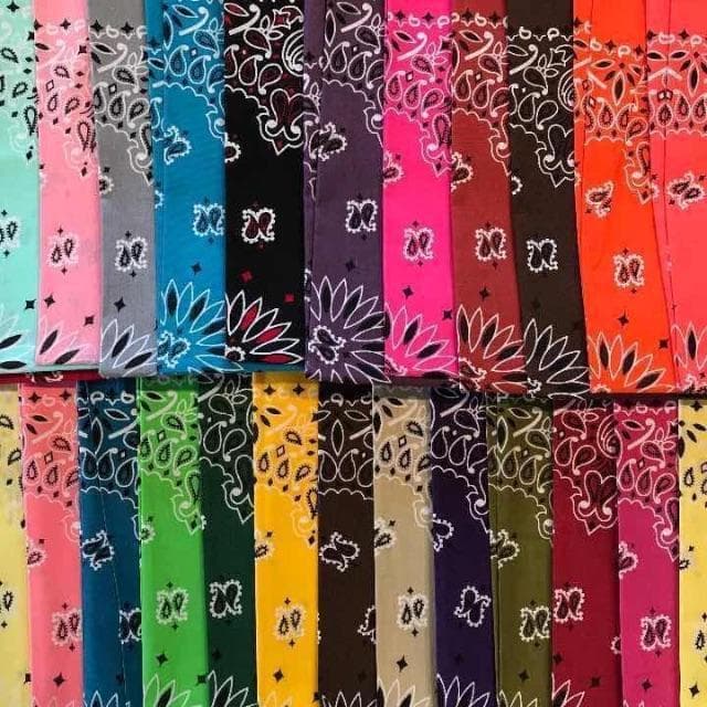 HAV-A-HANK ペイズリーバンダナ 20枚セット