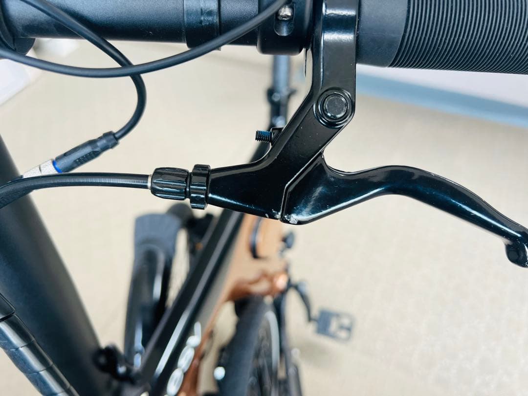 BESV 電動アシスト自転車 折りたたみ 20インチ