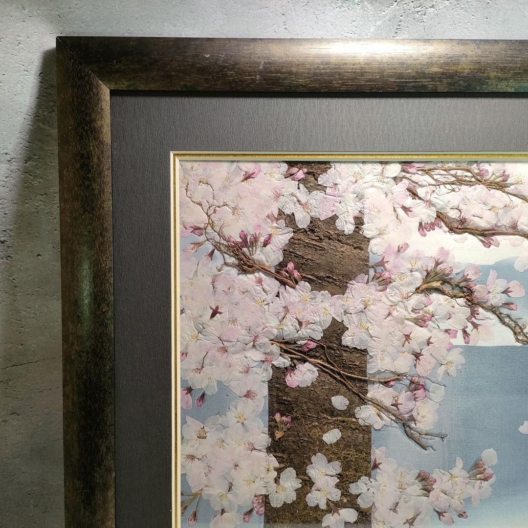 押し花専用額 押し花アート 不思議な花倶楽部 サクラ 風景