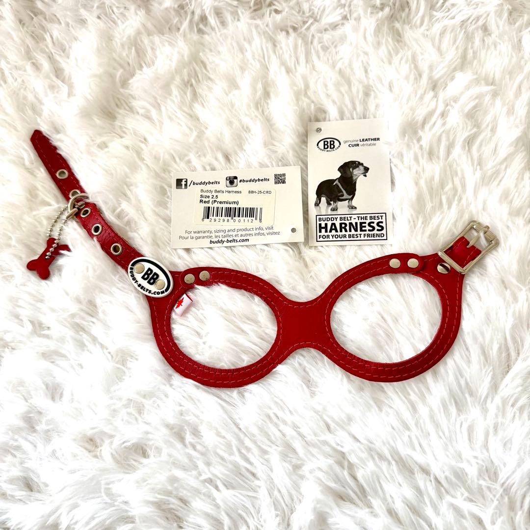 [新品] BBベルト 2.5号 ハーネス+リード セット　 *レッド