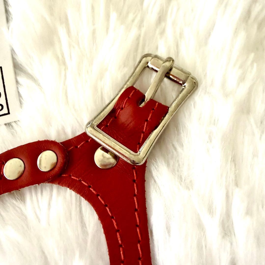 [新品] BBベルト 2.5号 ハーネス+リード セット　 *レッド