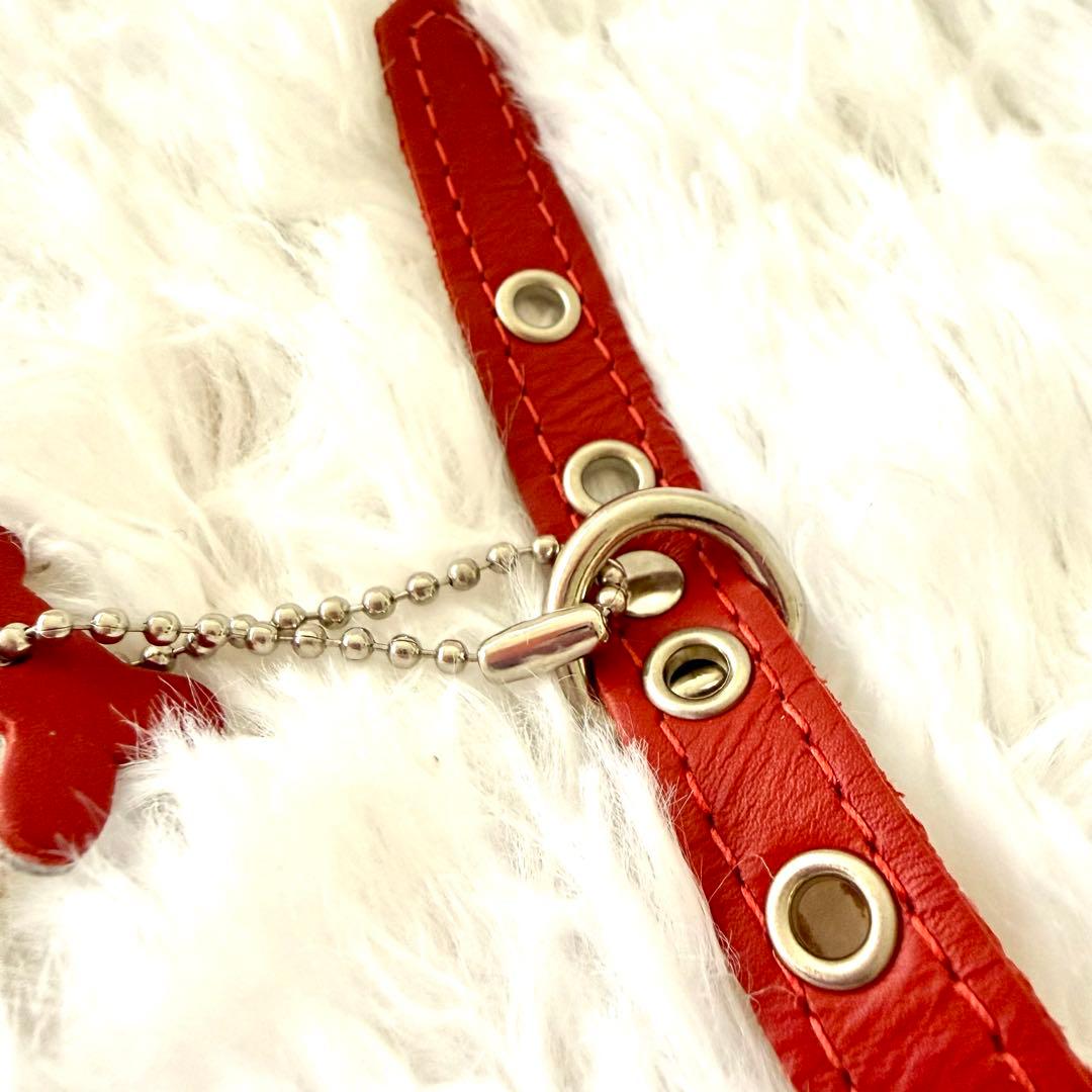 [新品] BBベルト 2.5号 ハーネス+リード セット　 *レッド