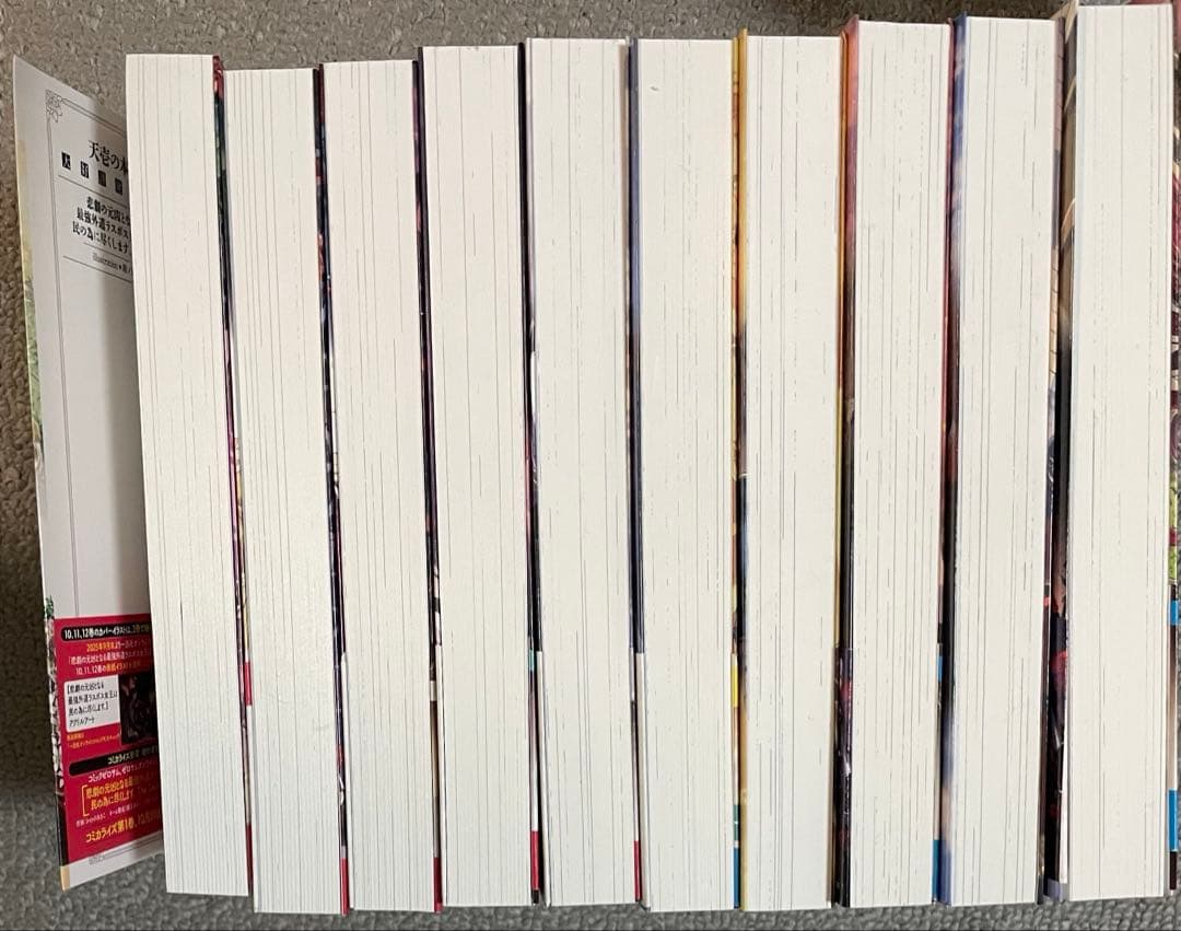 悲劇の元凶となる最強外道ラスボス女王は民の為に尽くします　小説　3〜12巻