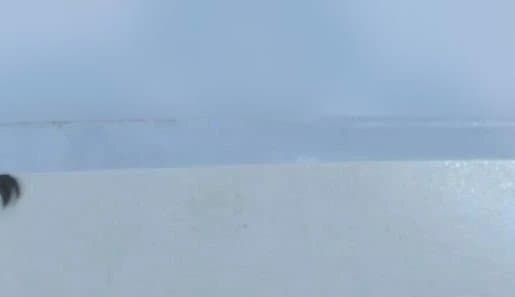 ディズニー アート展 ピンバッジ