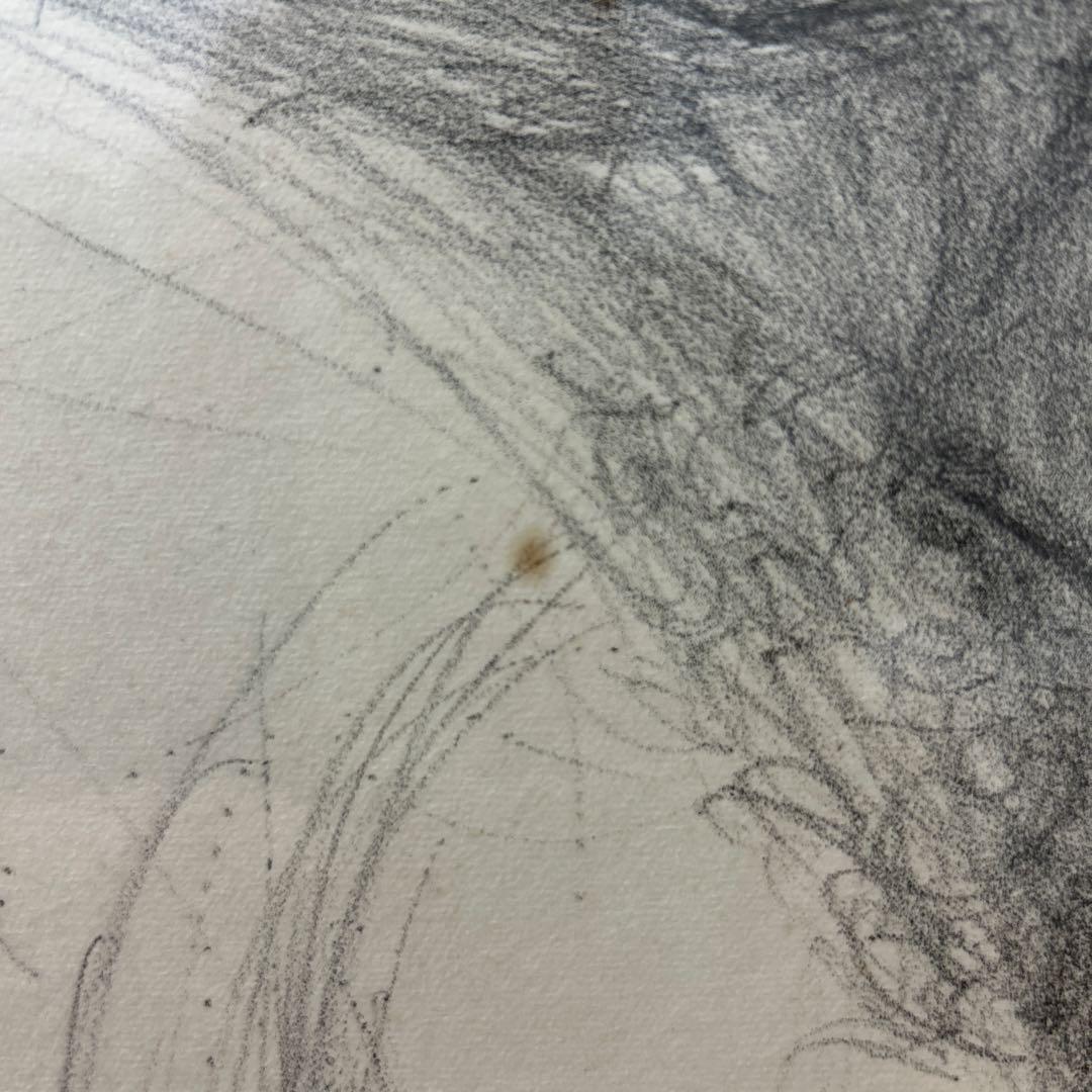 天野喜孝　版画　シルクスクリーン