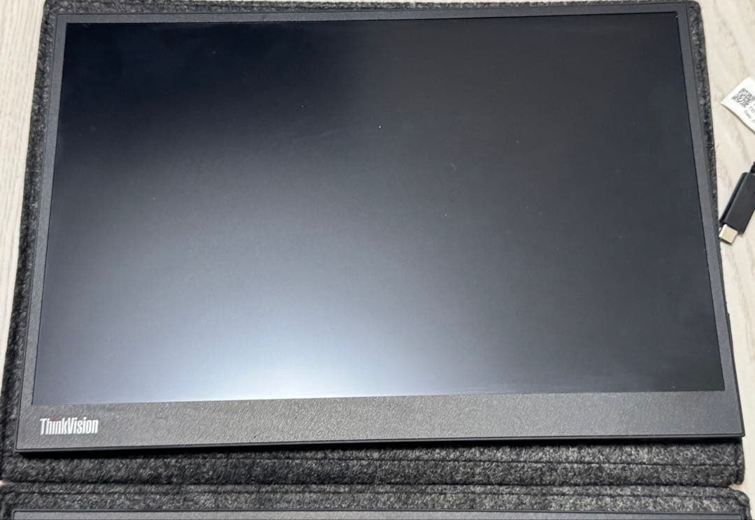 LenovoThinkVision M14d 2台セット