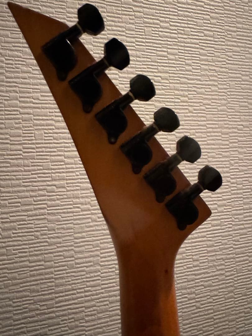 ギター FERNANDES TEJ