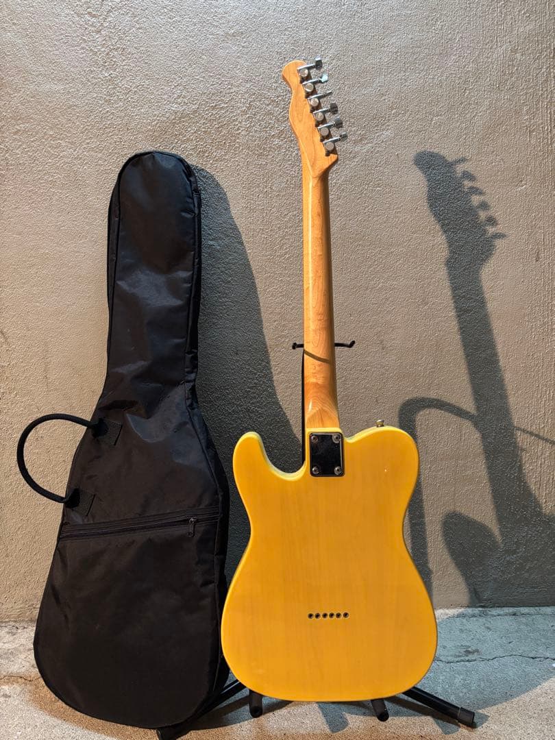 Bacchus バッカステレキャスタータイプエレキギターユニバース