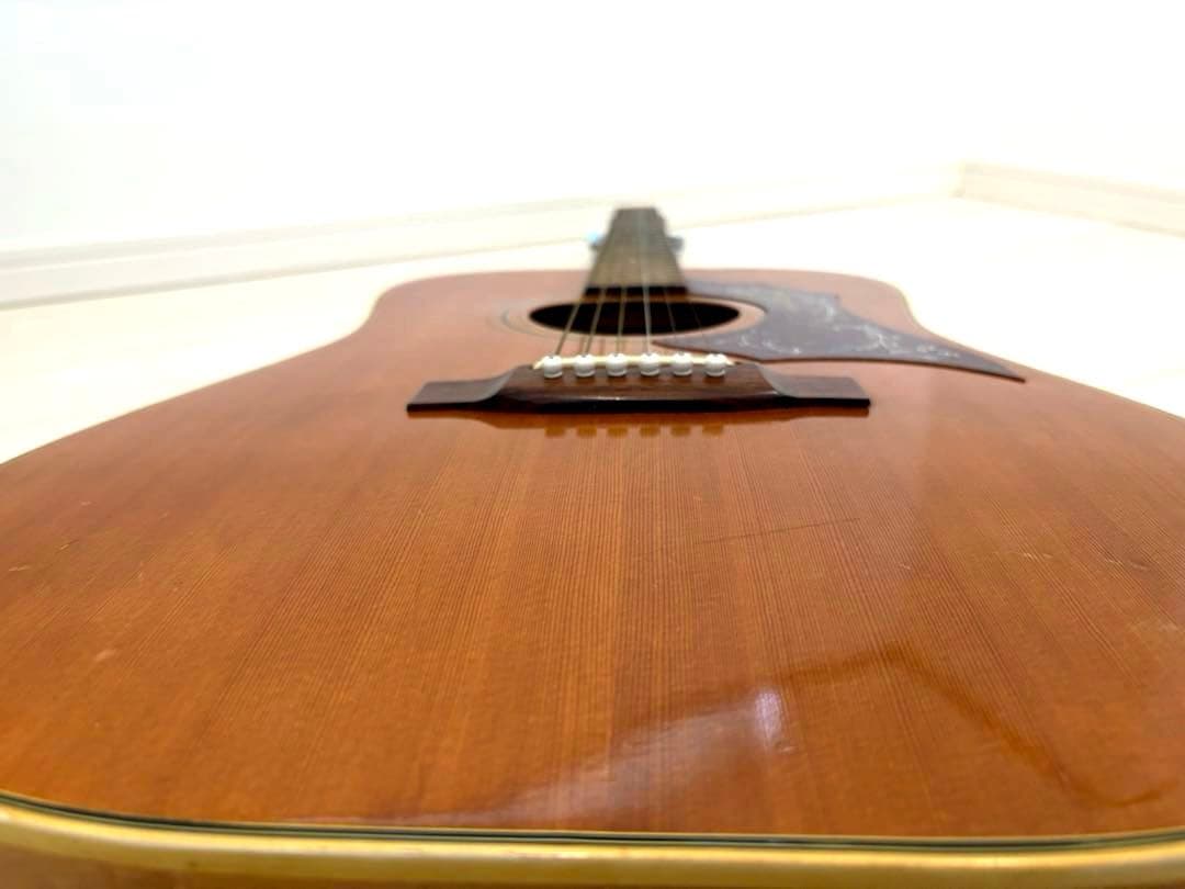 roje メイプル　ハミングバード　アコースティックギター　アコギ