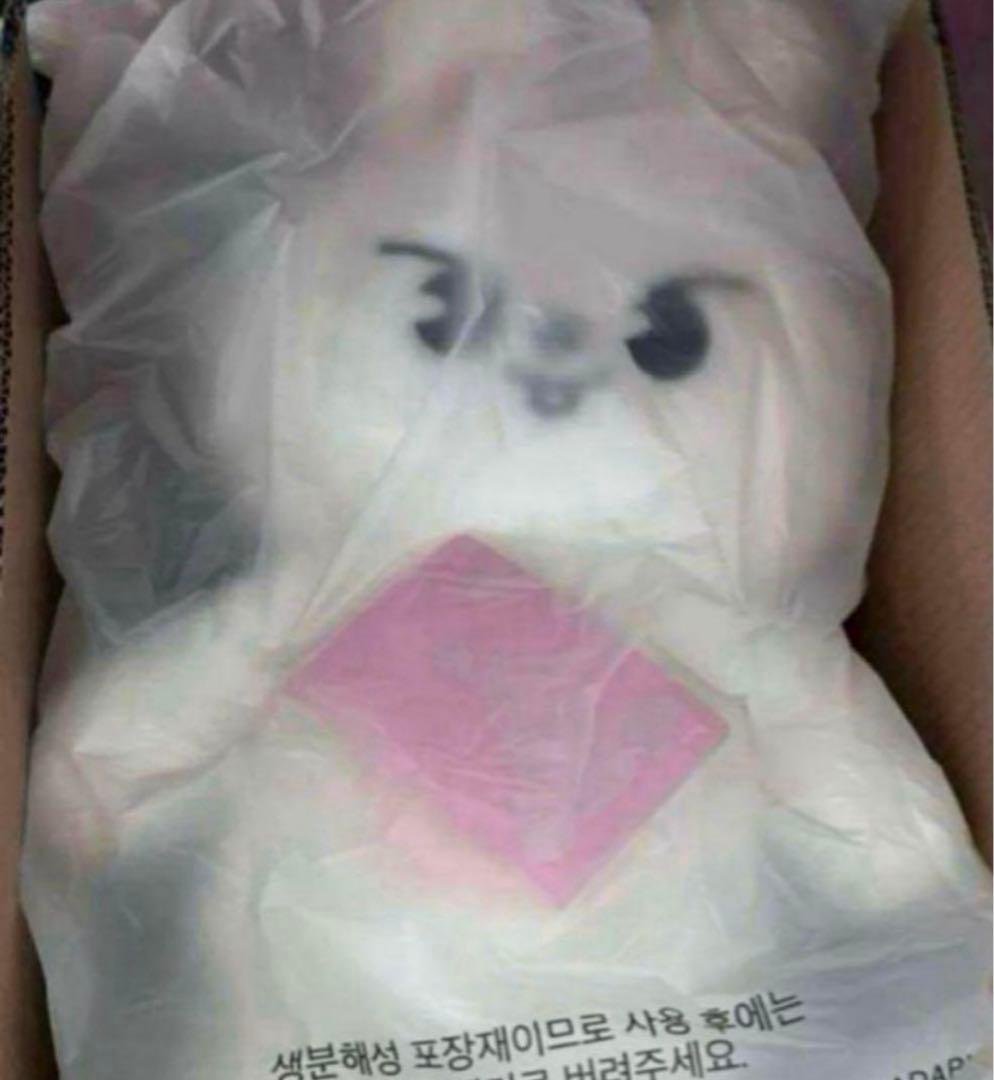 る*き様 leebit テディベアSKZOO PLUSH TEDDYBEAR V