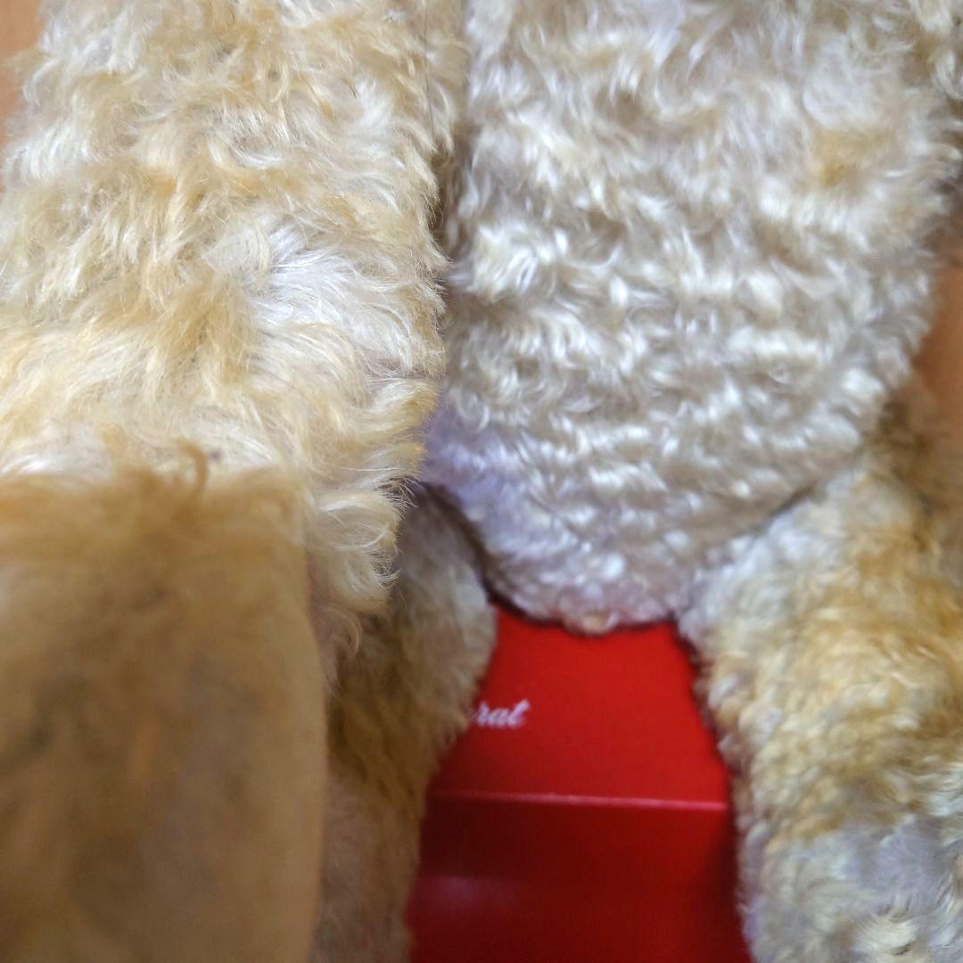 シュタイフ　テディベア