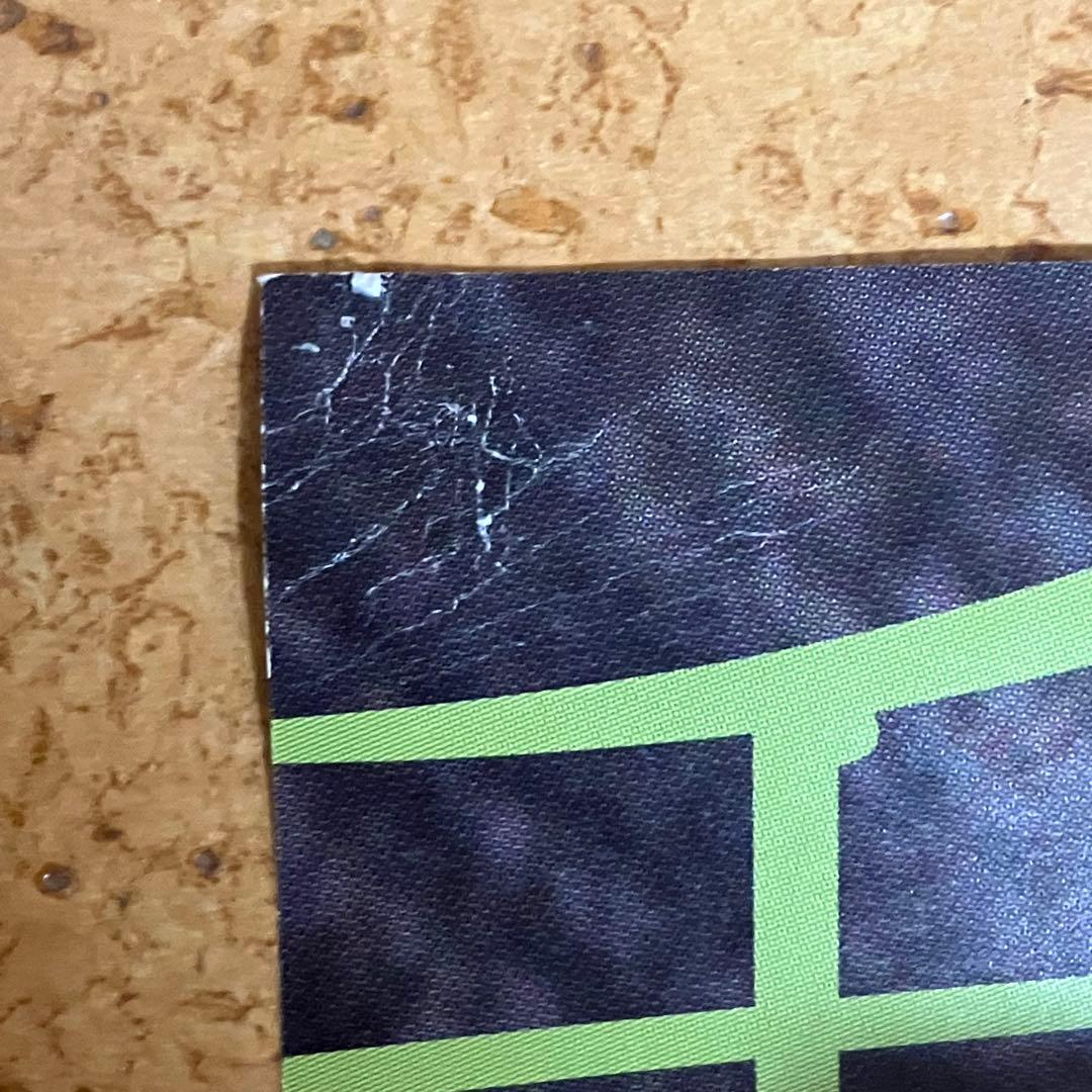 毛皮のマリーズ　MAJOR DEBUT ALBUM B2ポスター サイン入り