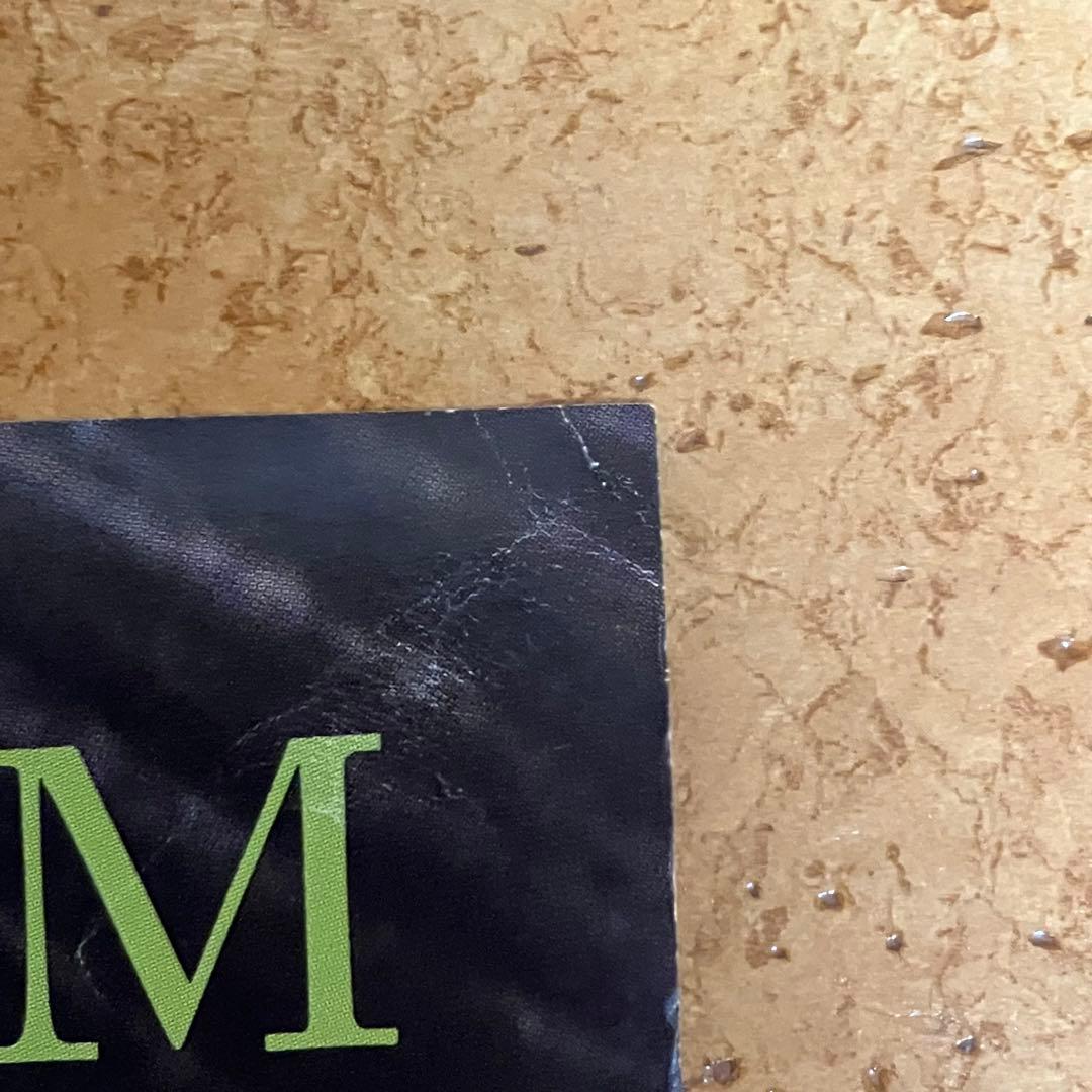 毛皮のマリーズ　MAJOR DEBUT ALBUM B2ポスター サイン入り