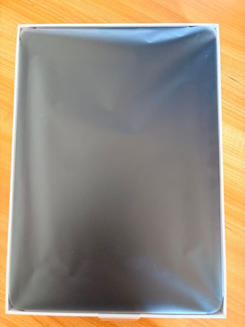 【美品】　iPad Pro 11inch 第1世代 64GB WiFi-only