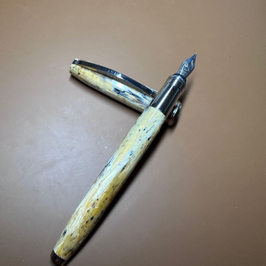 た*か様 万年筆　VISCONTI ヴァン・ゴッホ Shoes M字