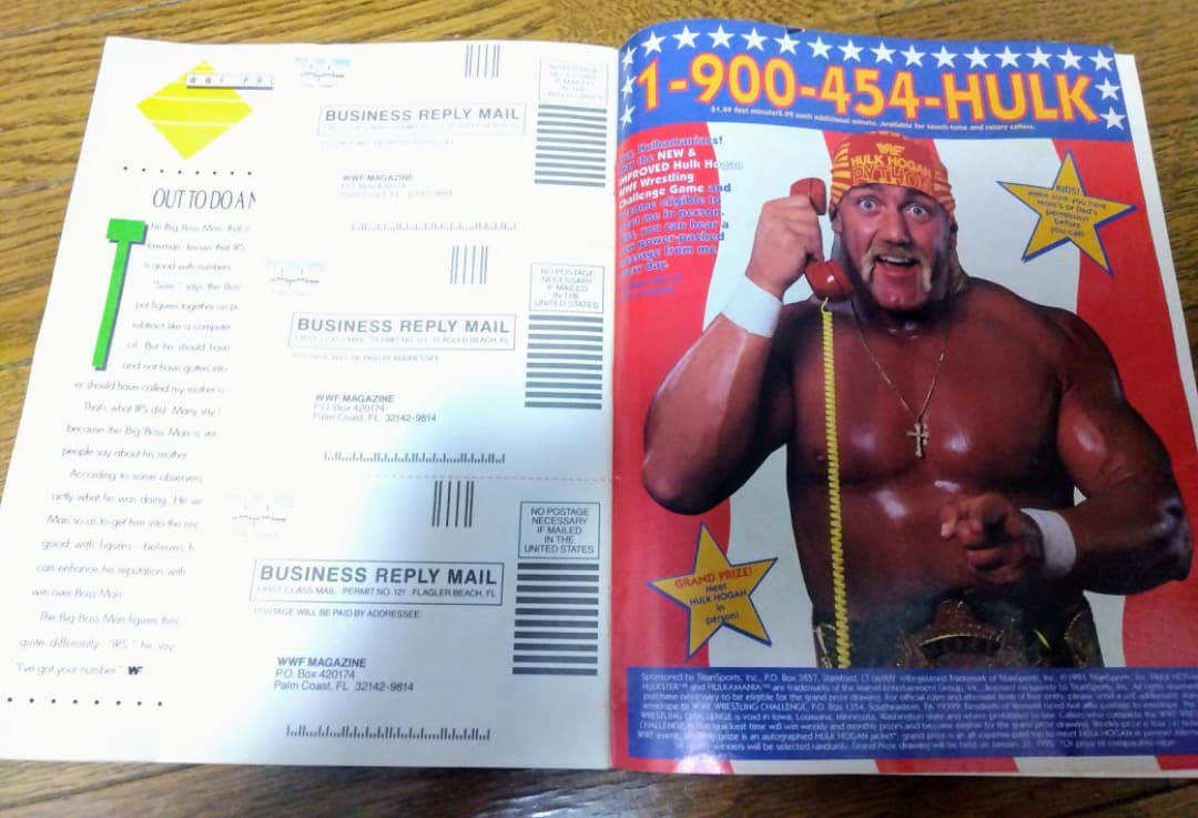 【激レア】WWF公式ハワイアロハスタジアム大会パンフ  フレアー／ホーガン超豪華